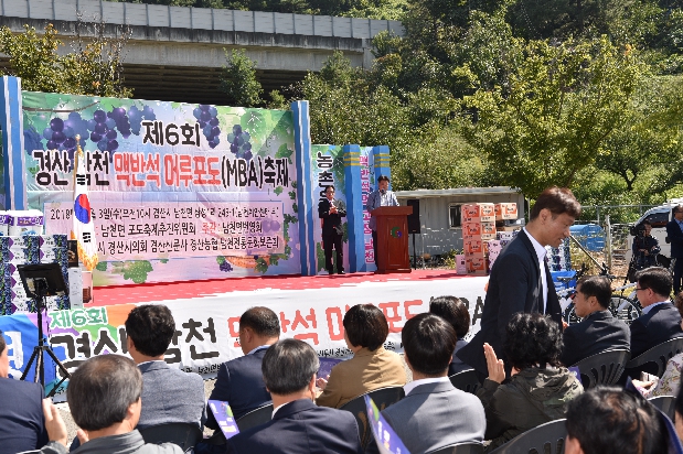 제6회 경산남천 맥반석 포도축제 
