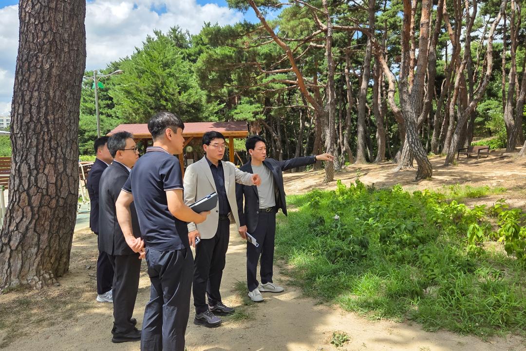 동부동 솔숲구릉공원 민원 현장 방문